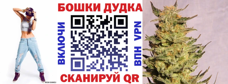 Канабис сатива  где купить наркотик  Сухой Лог 
